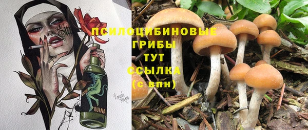 трава Баксан
